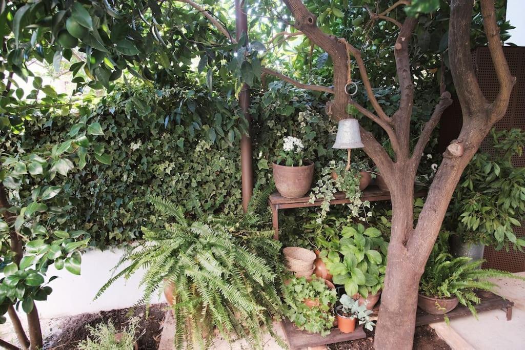 La Casa Del Jardin Βίλα Candeleda Εξωτερικό φωτογραφία