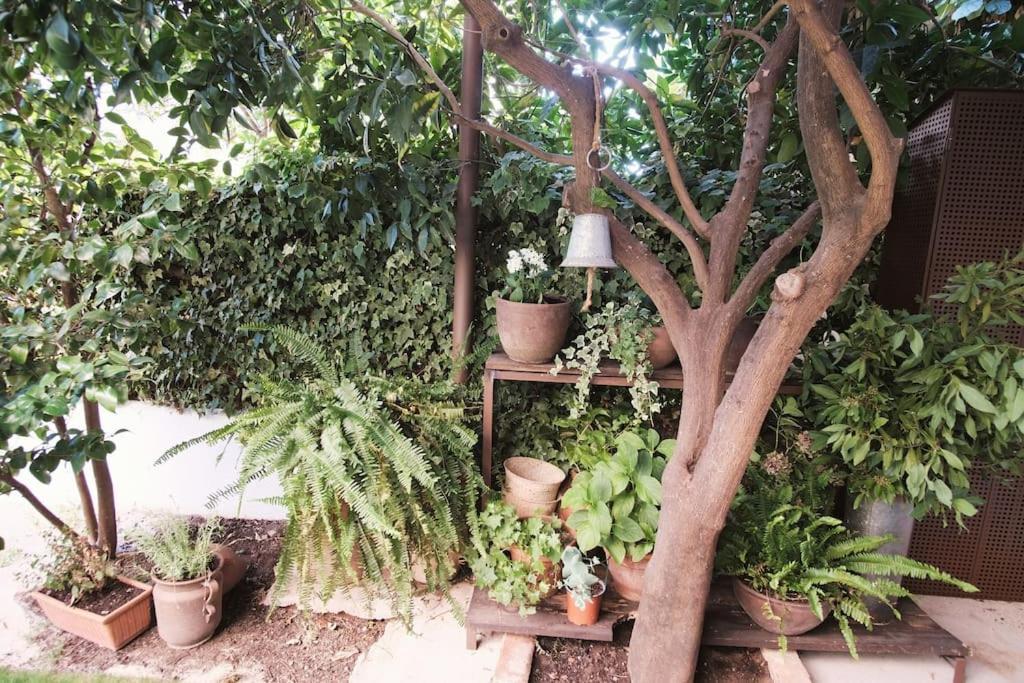 La Casa Del Jardin Βίλα Candeleda Εξωτερικό φωτογραφία